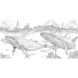 Wondrous Animals: Colour a Kingdom of Creatures (Kerby's Selecion)