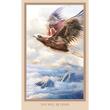 Luminous Humanness Oracle Cards 