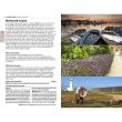 The Rough Guide to Dorset, Hampshire & the Isle of Wight