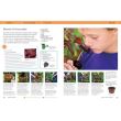 Gardening Projects for Kids