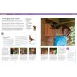 Gardening Projects for Kids