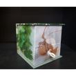 Memo Block: Herbs
