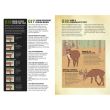 Whitetail Hunting Guide (Field & Stream) 
