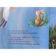 A Long Way From Home by Little Tiger Press-Elizabeth Baguley, Jane Chapman