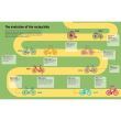 Velopedia: The infographic book of cycling