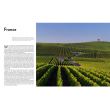 Oz Clarke's World of Wine: Wines Grapes Vineyards