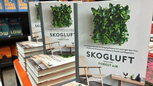 Skogluft: Norwegian Secrets for Creating Forest Air in Your Home