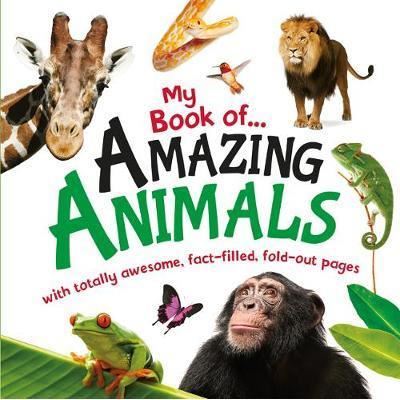 My Book Of Amazing Animals