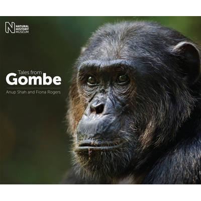 Tales from Gombe