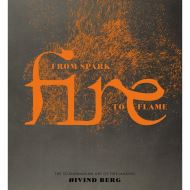 Fire: From Spark to Flame