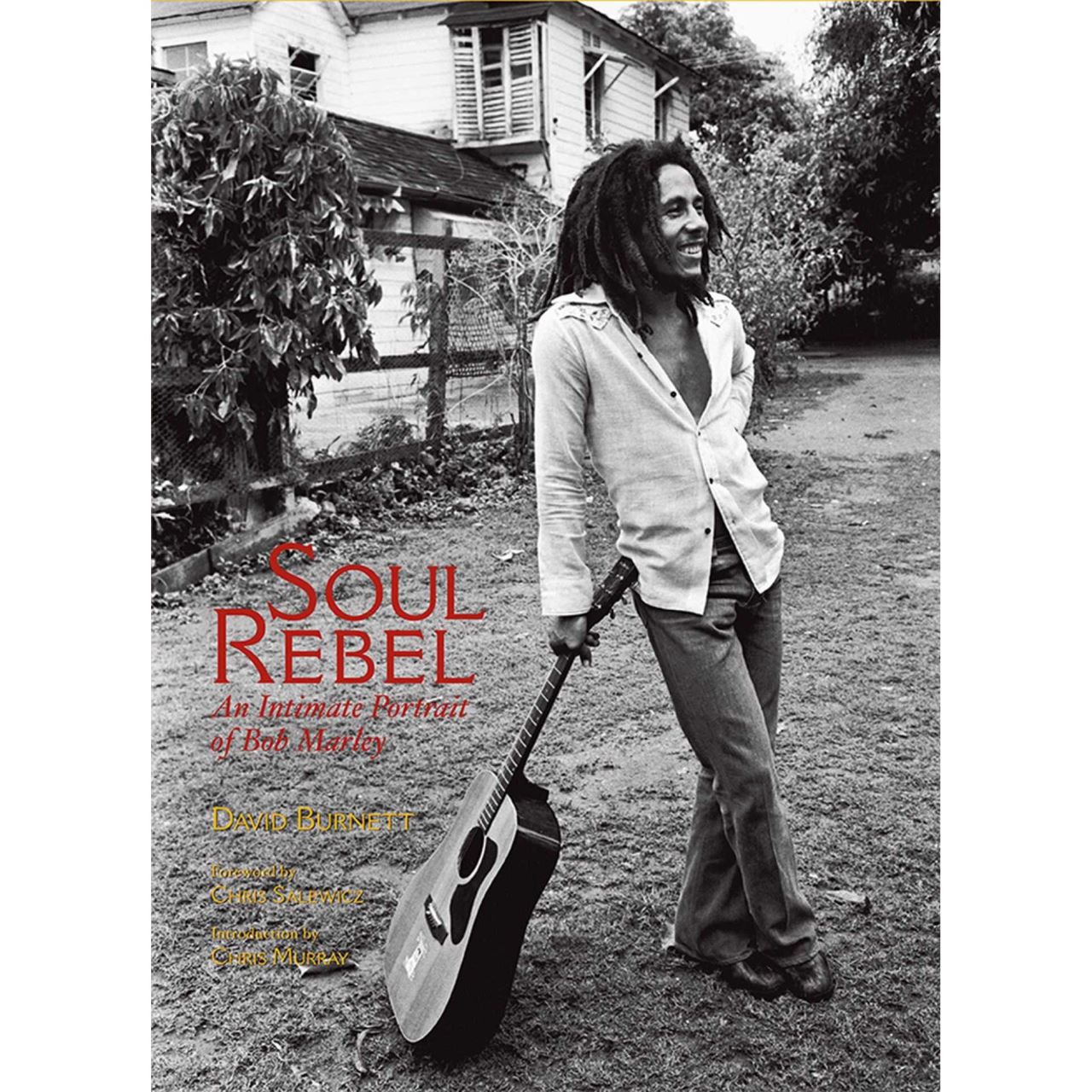 Soul rebel: an intimate portrait of bob marley in jamaica and beyond 