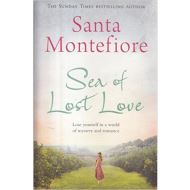 Sea of Lost Love