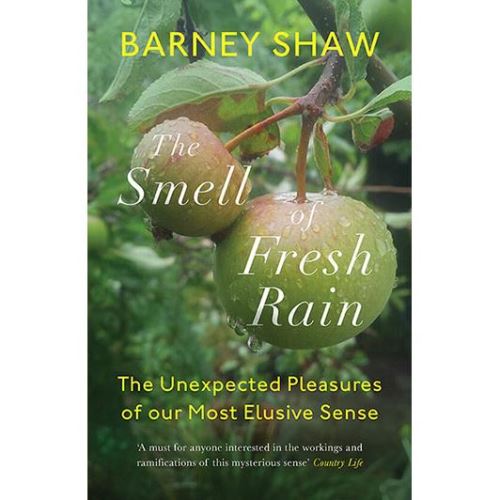 The Smell of Fresh Rain