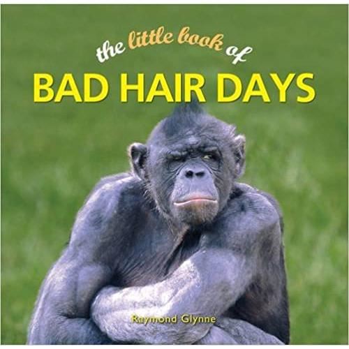 The Little Book of Bad Hair Days