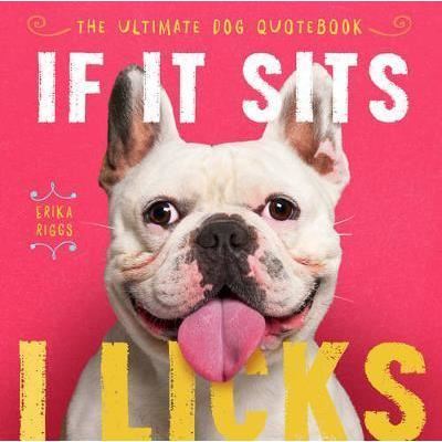 If It Sits, I Licks - Imagine 1