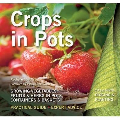 Crops in Pots: Practical Guide, Expert Advice - Imagine 1