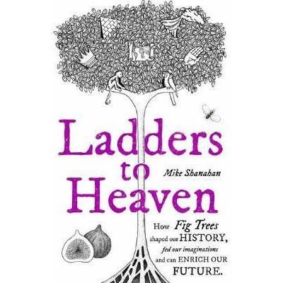 Ladders to heaven