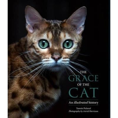 The grace of the cat