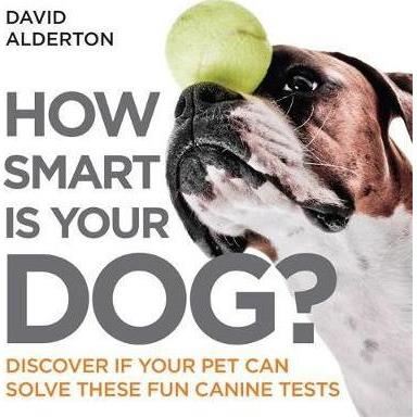 How Smart Is Your Dog?