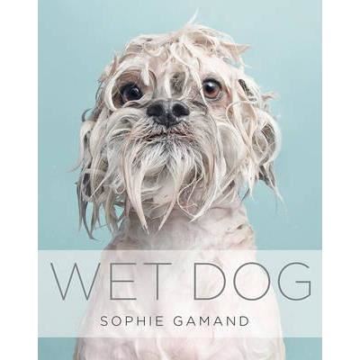 Wet Dog - Imagine 1