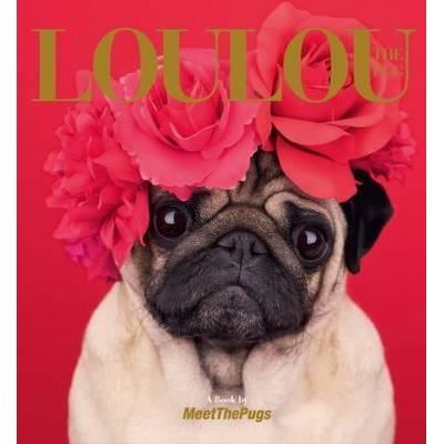 Loulou the Pug - Imagine 1