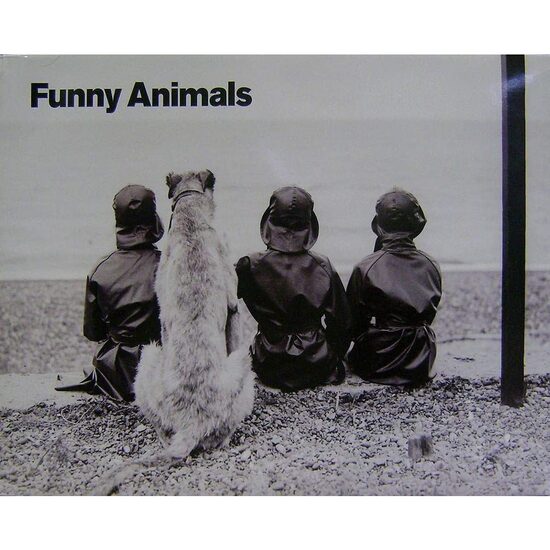 Postere Funny Animals