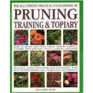 ILLUSTRATED PRACTICAL ENCYCLOPEDIA OF PRUNING TRAINING & TOPIARY