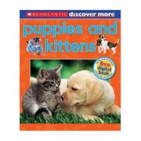 Puppies & Kittens