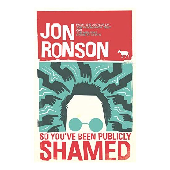 So You've Been Publicly Shamed