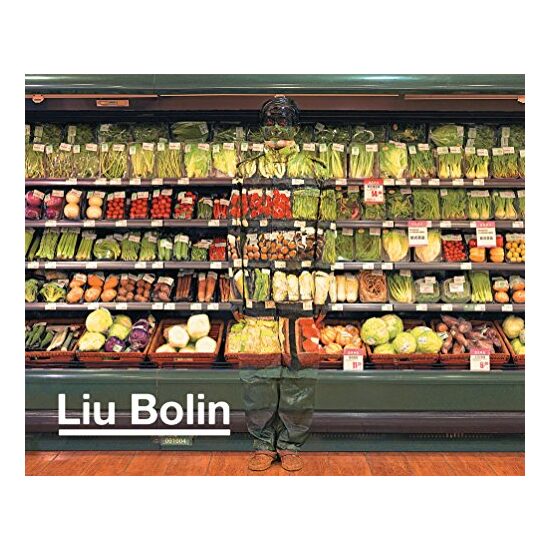 Liu Bolin - Imagine 1