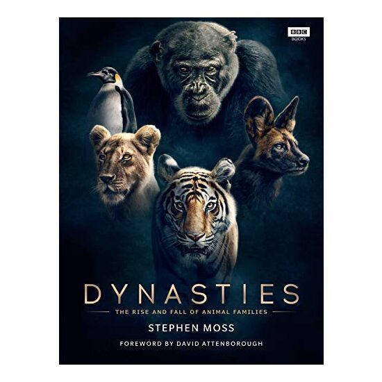 Dynasties - DAMAGED