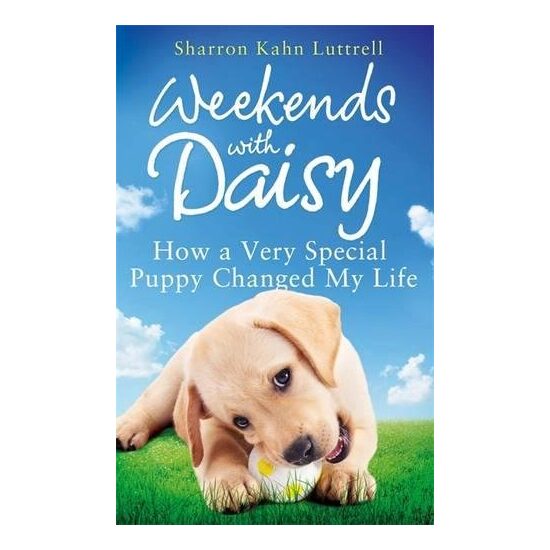 Weekends with Daisy - Imagine 1