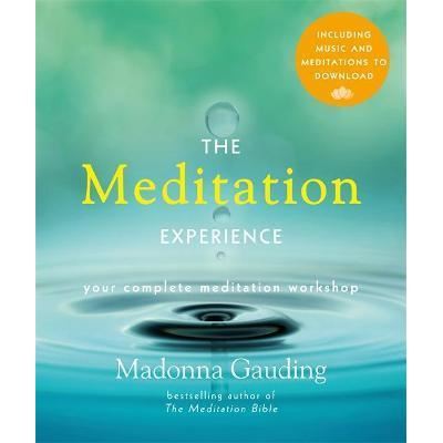 The Meditation Experience - Imagine 1