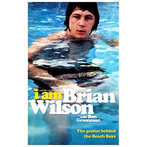 I Am Brian Wilson - Imagine 1