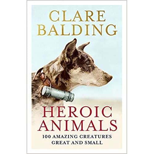 Heroic Animals - Imagine 1
