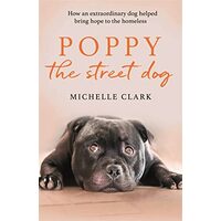 Poppy The Street Dog