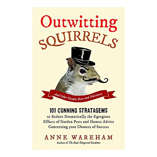 Outwitting Squirrels