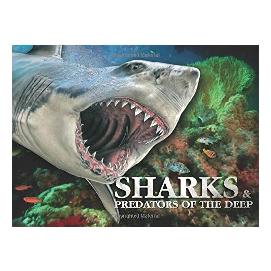 Sharks & Predators of the Deep - Imagine 1