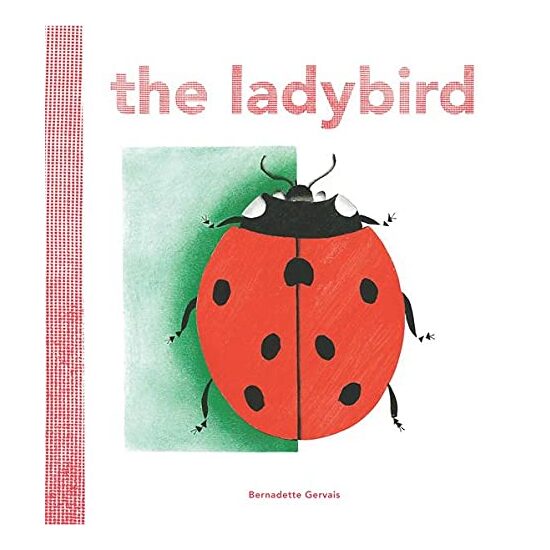 The Ladybird
