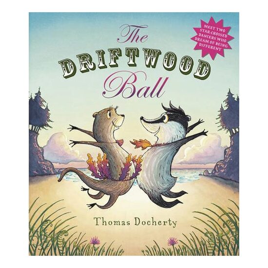 The Driftwood Ball - Imagine 1
