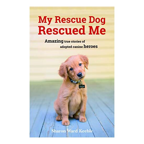 My Rescue Dog Rescued Me - Imagine 1