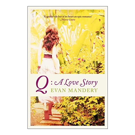 Q: A Love Story. Evan Mandery - Imagine 1