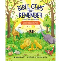 Illustrated Bible