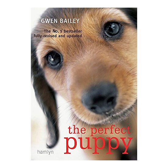 The perfect puppy