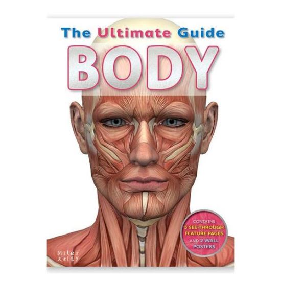The Ultimate Guide - Body - Imagine 1