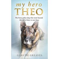 My Hero Theo