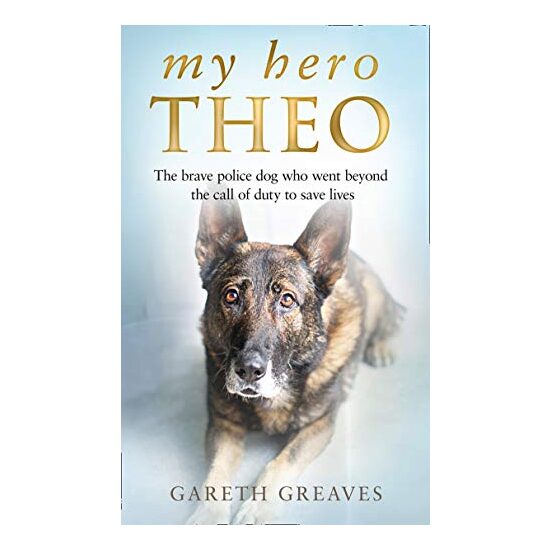 My Hero Theo - Imagine 1