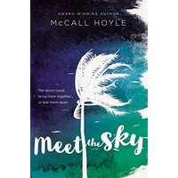 Meet the Sky