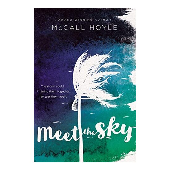 Meet the Sky - Imagine 1