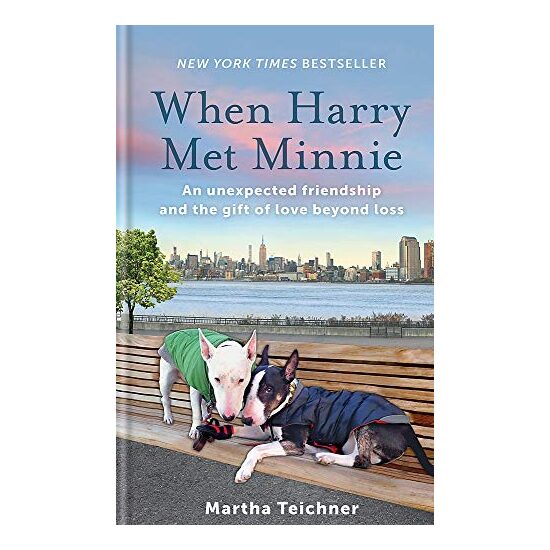 When Harry Met Minnie - Imagine 1